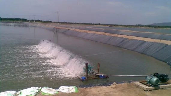 Sản phẩm Du an dam nuoi tom 1 1024x768 570x321 — Công Ty TNHH Thương Mại Vinatrade — MST 0311668343