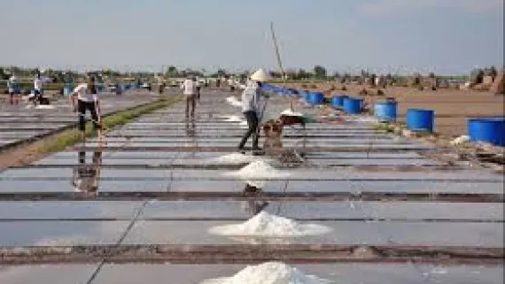 Sản phẩm du an lam muoi 570x321 — Công Ty TNHH Thương Mại Vinatrade — MST 0311668343