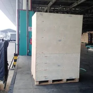 Sản phẩm Kien go kin 300x300 — Công Ty TNHH Sản Xuất Thương Mại Dịch Vụ Đông Long — MST 0311684384