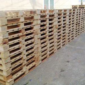 Sản phẩm Pallet go 4 chieu nang 4 300x300 — Công Ty TNHH Sản Xuất Thương Mại Dịch Vụ Đông Long — MST 0311684384
