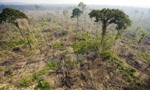 Sản phẩm bi tan pha  rung nhiet doi bat dau thai carbon nhieu hon hap thu_s1284 — Công Ty Trách Nhiệm Hữu Hạn Dịch Vụ Công Nghiệp Minh Long — MST 0311715064