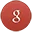 Sản phẩm google icon — Công Ty TNHH SUNWELL VINA — MST 0311730182