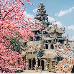Sản phẩm chau a — Công Ty TNHH TM DV Và Du Lịch Nhất Nga — MST 0311733105