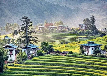 Sản phẩm 195 430x305 — Công Ty TNHH TM DV Và Du Lịch Nhất Nga — MST 0311733105