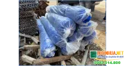 Sản phẩm cung cap luoi xay dung 4m x 50m ti trong 55gr cho khach o quan hoang mai ha noi 1 — Công Ty TNHH Lê Hà Vi Na — MST 0311768394