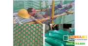Sản phẩm luoi an toan xay dung bao ve con nguoi tren het 1 — Công Ty TNHH Lê Hà Vi Na — MST 0311768394