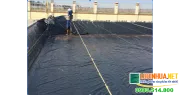 Sản phẩm bat chong tham hdpe 0 5mm lot ao giai phap cho chu nong trai ho ca 1 — Công Ty TNHH Lê Hà Vi Na — MST 0311768394