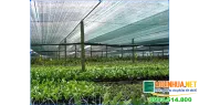 Sản phẩm luoi che nang cho rau bao ve cay trong hieu qua 1 — Công Ty TNHH Lê Hà Vi Na — MST 0311768394