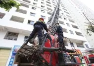 Sản phẩm vi pham phong chay chua chay  2869 5184 1553186971 5446 — Công Ty TNHH Đầu Tư Phát Triển Hệ Thống Phòng Cháy Chữa Cháy Nguyên Tân — MST 0311777310