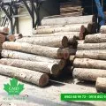 Sản phẩm gmd 6607 — Gỗ Mỹ Đức - Công Ty TNHH Gỗ Mỹ Đức — MST 0311779124