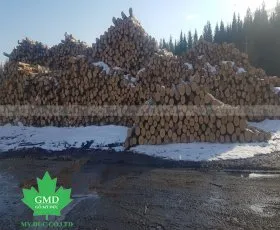 Sản phẩm birch chau au 9647 — Gỗ Mỹ Đức - Công Ty TNHH Gỗ Mỹ Đức — MST 0311779124