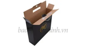 Sản phẩm Hop giay carton co quai xach nhua 03 2 300x158 — In Bao Bì Quốc Thịnh - Công Ty TNHH In Quốc Thịnh — MST 0311788062