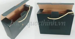 Sản phẩm Hop giay carton dung qua co quai xach dung ruou 1 quai 1 300x158 — In Bao Bì Quốc Thịnh - Công Ty TNHH In Quốc Thịnh — MST 0311788062