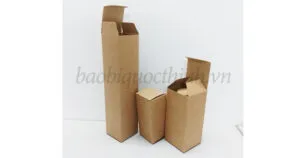 Sản phẩm hop giay kraft dung my pham chat luong cao 300x158 — In Bao Bì Quốc Thịnh - Công Ty TNHH In Quốc Thịnh — MST 0311788062