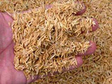 Sản phẩm nen vo trau — Công Ty TNHH Biomass Nam Long — MST 0311793432