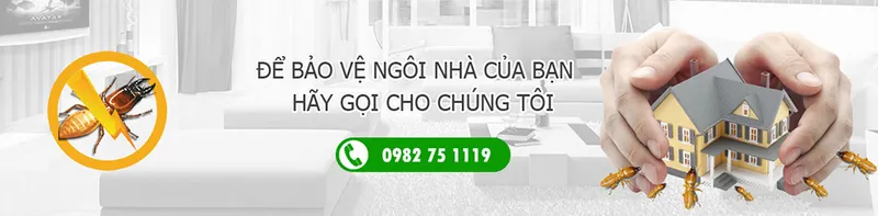 Sản phẩm about us bg — Công Ty TNHH Thương Mại Dịch Vụ Trừ Mối Thành Công — MST 0311816873