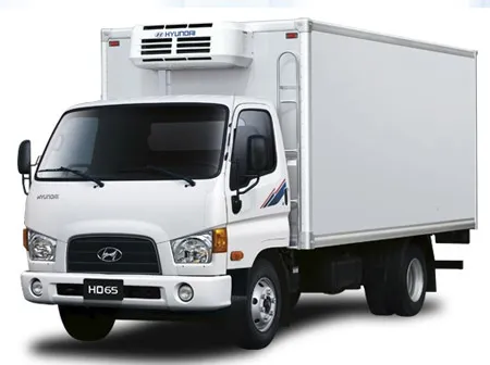 Sản phẩm 1336192697_xe tai hyundai hd65 thung dong lanh — Vận Tải Xuyên á - Công Ty TNHH MTV Thương Mại Dịch Vụ Vận Tải Du Lịch Xuyên á — MST 0311818863