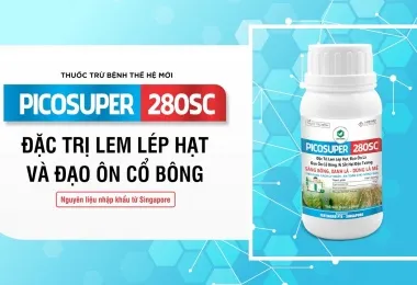 Sản phẩm maxresdefault 3960 — Công Ty Cổ Phần Nông Nghiệp Quốc Tế Vinastar — MST 0311820044