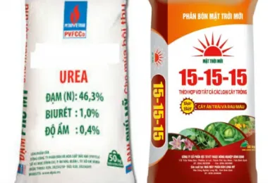 Sản phẩm screenshot_1632101955 2429 — Công Ty Cổ Phần Nông Nghiệp Quốc Tế Vinastar — MST 0311820044