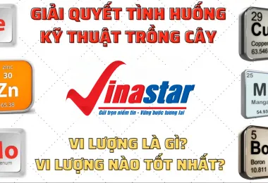 Sản phẩm screenshot_1632102577 5762 — Công Ty Cổ Phần Nông Nghiệp Quốc Tế Vinastar — MST 0311820044