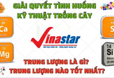 Sản phẩm screenshot_1632102758 2139 — Công Ty Cổ Phần Nông Nghiệp Quốc Tế Vinastar — MST 0311820044