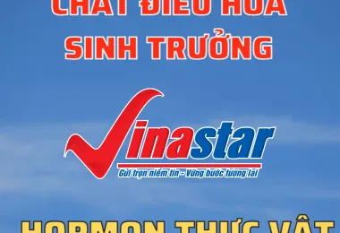 Sản phẩm screenshot_1632102905 9579 — Công Ty Cổ Phần Nông Nghiệp Quốc Tế Vinastar — MST 0311820044
