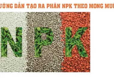 Sản phẩm screenshot_1632103775 1010 — Công Ty Cổ Phần Nông Nghiệp Quốc Tế Vinastar — MST 0311820044