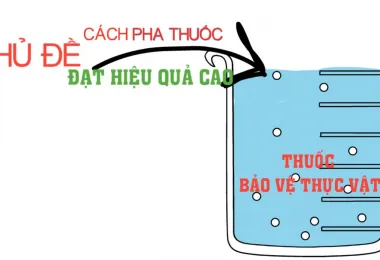 Sản phẩm screenshot_1632103899 7165 — Công Ty Cổ Phần Nông Nghiệp Quốc Tế Vinastar — MST 0311820044