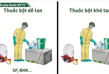 Sản phẩm screenshot_1650855361 2906 — Công Ty Cổ Phần Nông Nghiệp Quốc Tế Vinastar — MST 0311820044