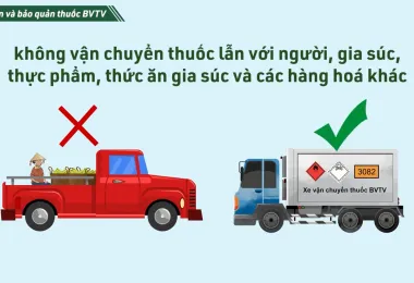 Sản phẩm screenshot_1650855487 2072 — Công Ty Cổ Phần Nông Nghiệp Quốc Tế Vinastar — MST 0311820044