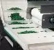 Sản phẩm PVC Conveyor Belt — Dây Curoa Đức Hữu Đạt - Công Ty TNHH Kỹ Thuật Đức Hữu Đạt — MST 0311821520