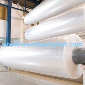 Sản phẩm mangopp 300x300 — Công Ty TNHH Một Thành Viên Thương Mại Trần Thành Phát — MST 0311848642