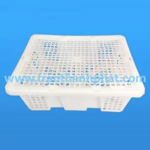 Sản phẩm ro dung nhan 300x300 — Công Ty TNHH Một Thành Viên Thương Mại Trần Thành Phát — MST 0311848642