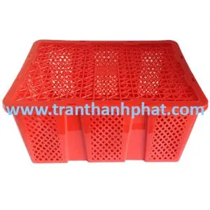 Sản phẩm ro dung trai cay 300x300 — Công Ty TNHH Một Thành Viên Thương Mại Trần Thành Phát — MST 0311848642
