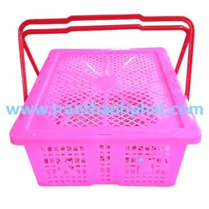 Sản phẩm ro dung trai cay quai 300x300 — Công Ty TNHH Một Thành Viên Thương Mại Trần Thành Phát — MST 0311848642