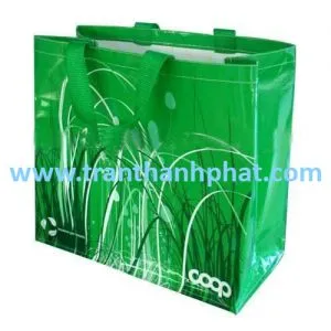 Sản phẩm tuisieuthi 2 300x300 — Công Ty TNHH Một Thành Viên Thương Mại Trần Thành Phát — MST 0311848642
