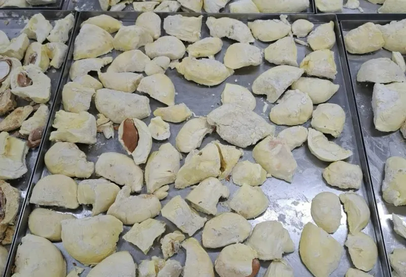 Sản phẩm z5269795674751e9237b8a607aa623f024ce05080d80a8 79840 — Trái Cây Sấy Viza Food - Công Ty Cổ Phần Viza Food — MST 0311851356