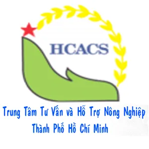 Sản phẩm hcacs — Công Ty TNHH DVMS — MST 0311860914