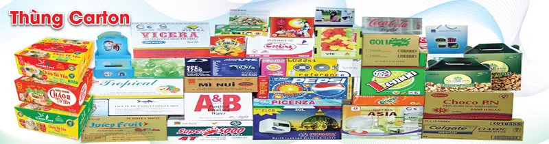 Sản phẩm hinh silide03121216 — Công Ty TNHH Sản Xuất Thương Mại Dịch Vụ In Bao Bì Long Việt Phát — MST 0311864789
