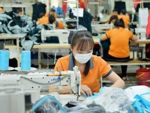 Sản phẩm det may viet nam 2021 300x225 — Công Ty TNHH Dệt May Việt Thắng Lợi — MST 0311881953