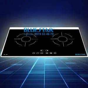 Sản phẩm bluestar san pham bep dien am 300x300 — Công Ty CP SX Thương Mại Blue Star — MST 0311883421