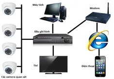 Sản phẩm 10790612410 5649 — Công Ty Cổ Phần Dịch Vụ Bảo Vệ Bông Sen — MST 0311886334