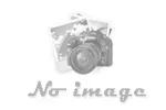 Sản phẩm noimage — Công Ty Cổ Phần Dịch Vụ Bảo Vệ Bông Sen — MST 0311886334