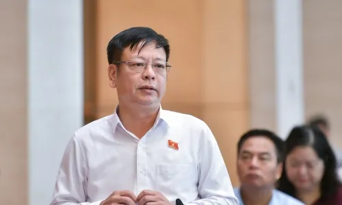 Sản phẩm 202408290847018012DSC3605 1724 4896 8342 1724901981 — Công Ty Cổ Phần Hóa Chất & Phân Bón Ba Miền — MST 0311892627