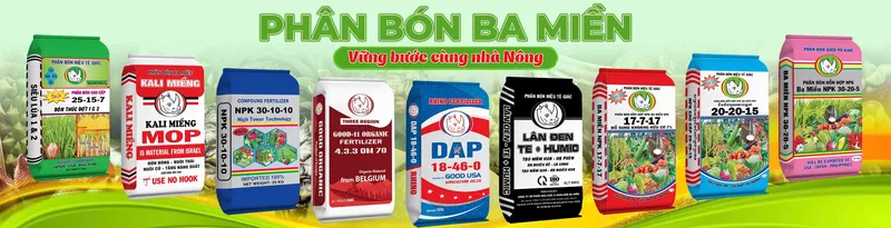 Sản phẩm z6240865624767_b718970addf67edf0f8506740bf077a7 1 — Công Ty Cổ Phần Hóa Chất & Phân Bón Ba Miền — MST 0311892627