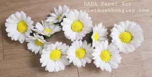 Sản phẩm CÚC GIẤY TRẮNG_300x300 — Công Ty TNHH Thương Mại Đầu Tư HANA — MST 0311894166