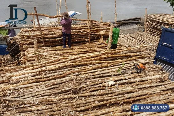 Sản phẩm cu tram long an 601x400 — Cừ Tràm Thái Dương - Công Ty TNHH Dịch Vụ Phát Triển Thái Dương — MST 0311902970