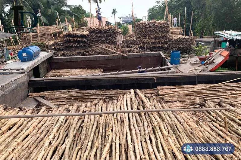 Sản phẩm cu tram thai duong 1 — Cừ Tràm Thái Dương - Công Ty TNHH Dịch Vụ Phát Triển Thái Dương — MST 0311902970