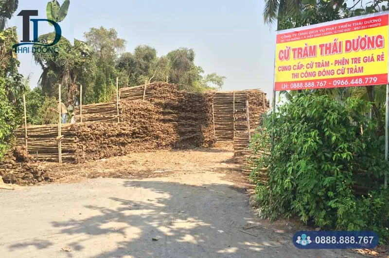 Sản phẩm cu tram thai duong — Cừ Tràm Thái Dương - Công Ty TNHH Dịch Vụ Phát Triển Thái Dương — MST 0311902970