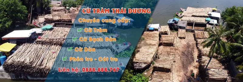 Sản phẩm Slide cu tram thai duong 01 — Cừ Tràm Thái Dương - Công Ty TNHH Dịch Vụ Phát Triển Thái Dương — MST 0311902970